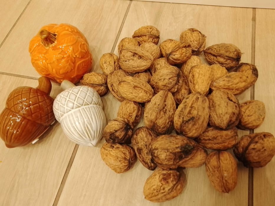 Orzechy włoskie duże