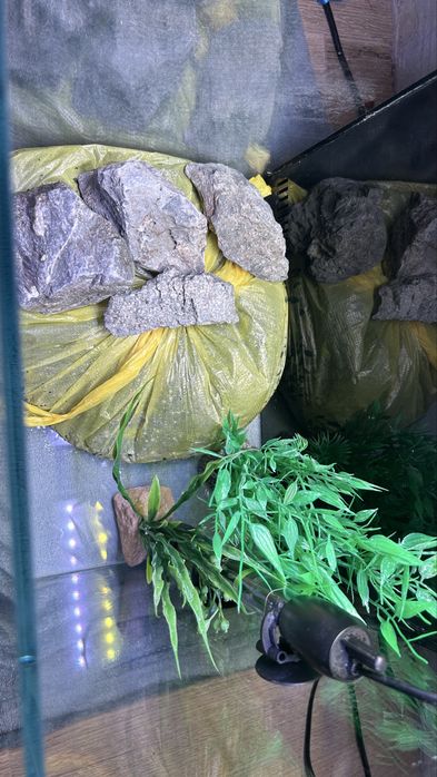 PILENE sprzecam akwariwum