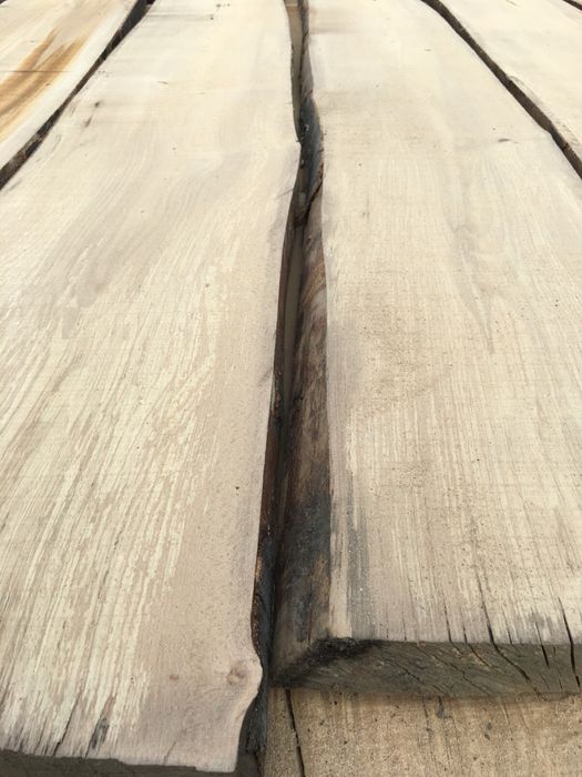 Drewno buk foszty różne