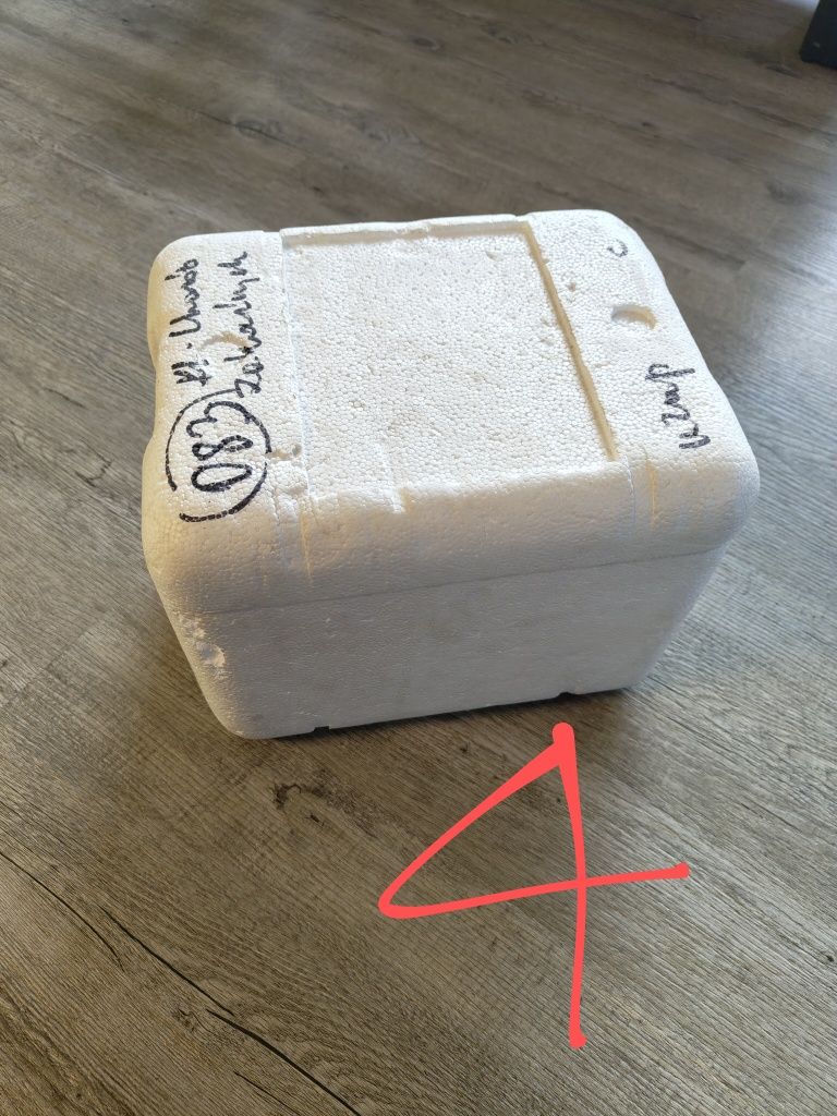 Pojemniki styrobox braplast zestaw