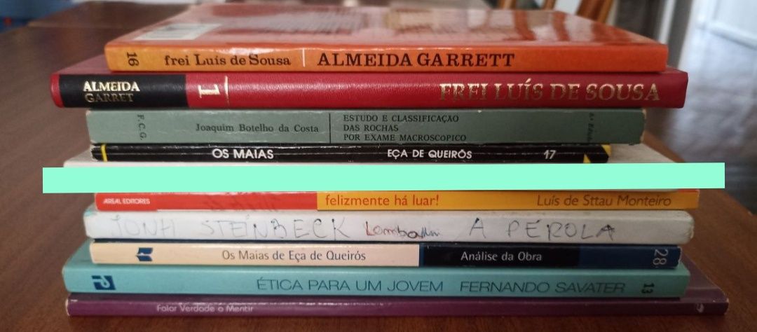 Livros técnicos e clássicos da literatura