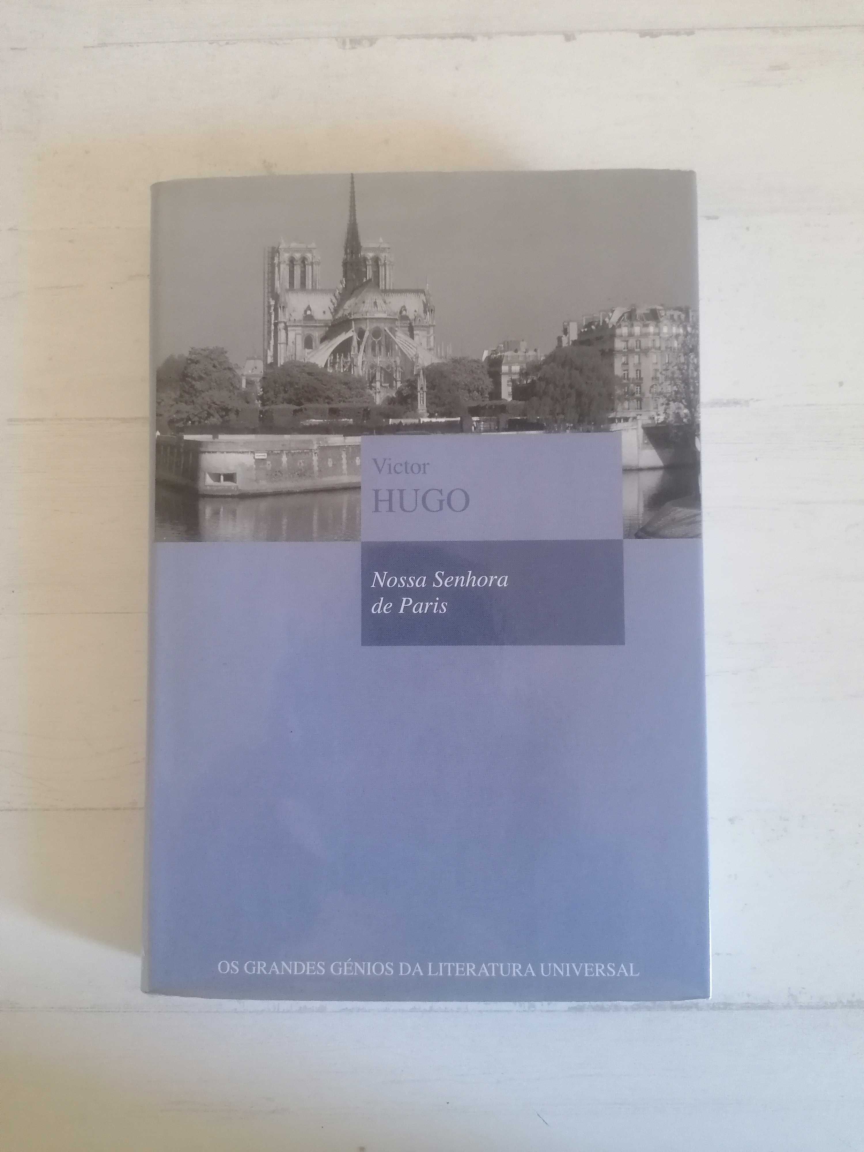 Coleção de Livros - Eça de Queirós Victor Hugo Júlio Verne Hemingway