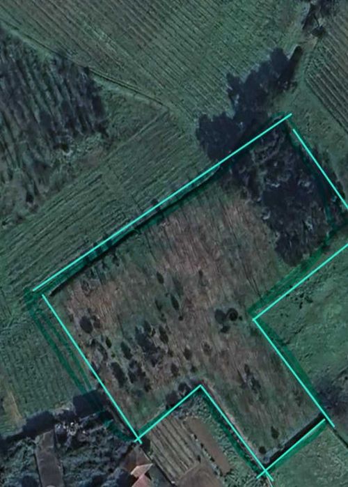 Terreno Rústico na Bairrada!