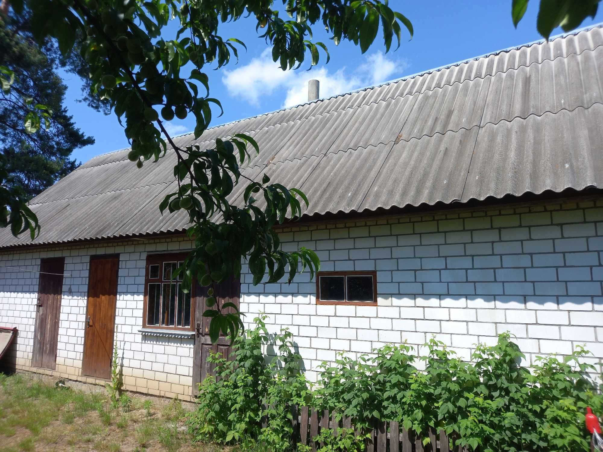 Продам будинок 120м.кв, Маневичі, Волинська область