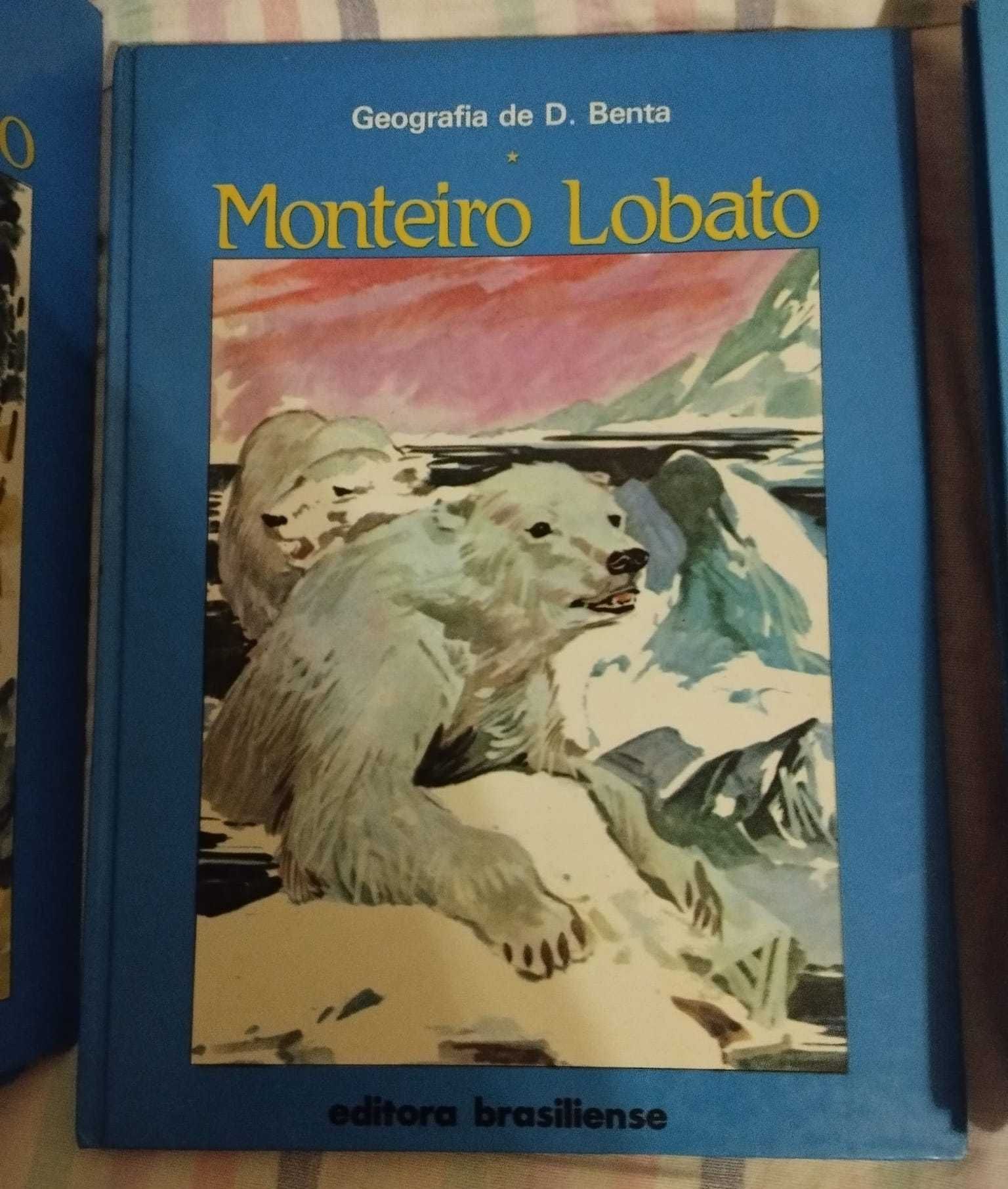 Colecção Livros Monteiro Lobato 14 Volumes