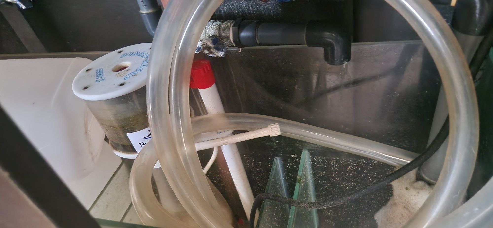 Vendo aquario agua salgada