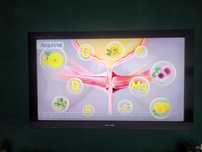 Telewizor Sony LCD