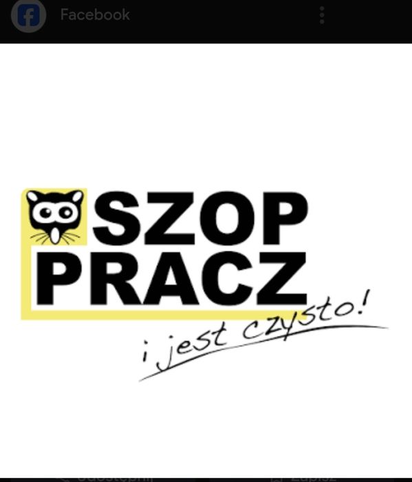 Czyszczenie dywanów,wykładzin,rogówek,samochodów