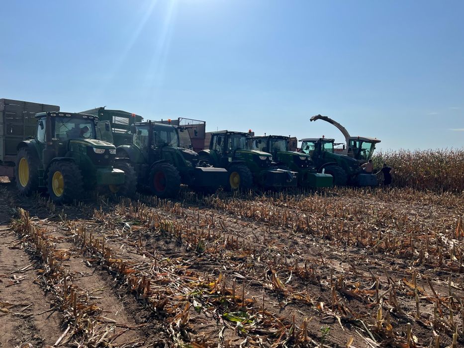 Koszenie kukurydzy na ziarno przyczepa przeładowcza