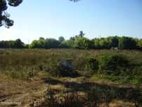 Terreno no Escaroupim (S287)