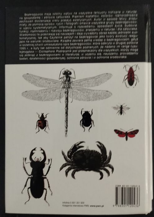 Czesław Jura Bezkręgowce