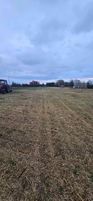 Czyszczenie działek, wycinka drzew,itp…