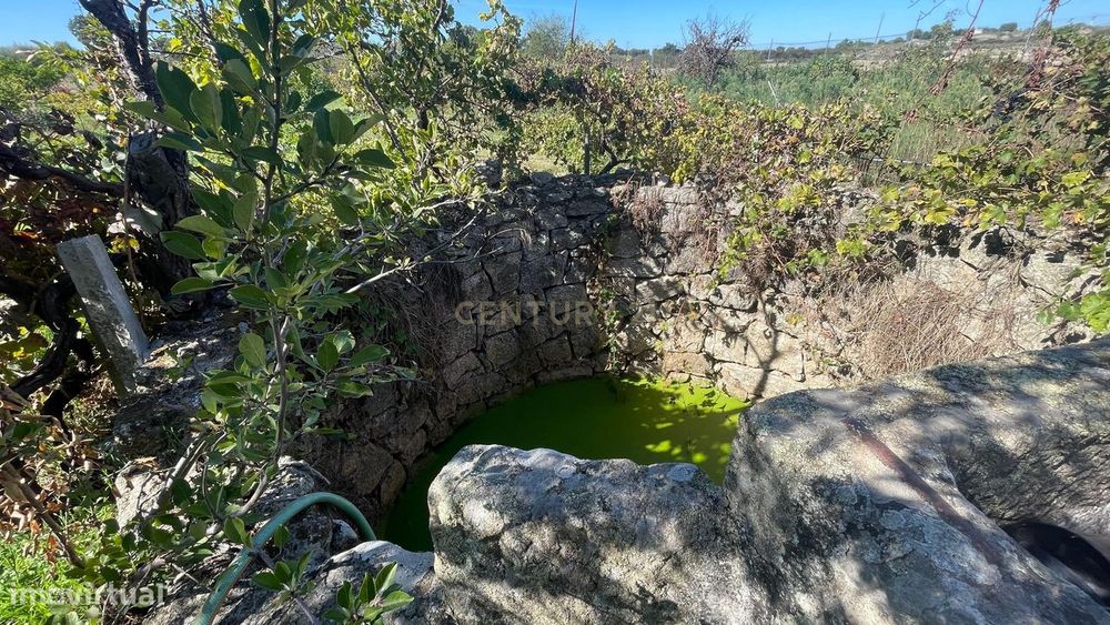 Terreno rústico | Escalos de Cima, Castelo Branco