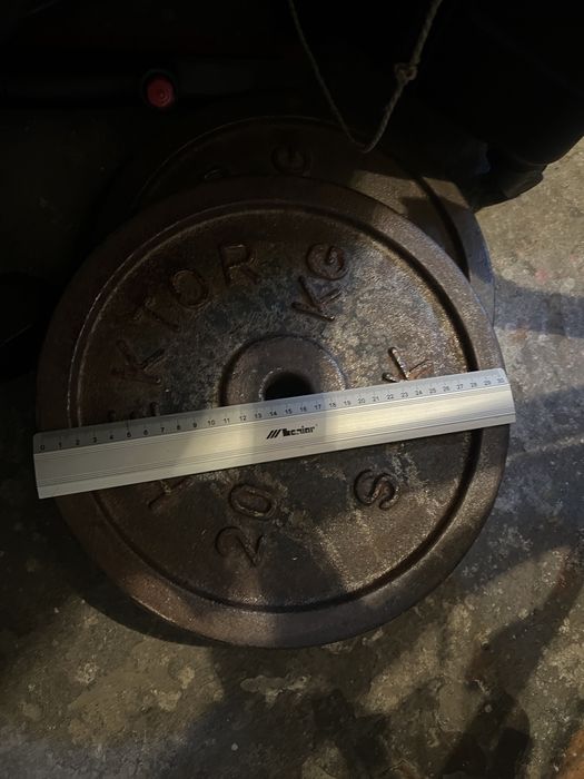 Talerze treningowe 2x20kg HEKTOR