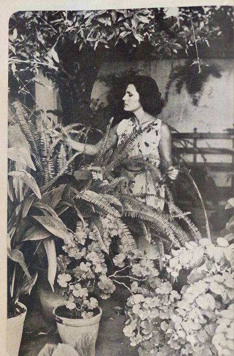 Amália Rodrigues 1964