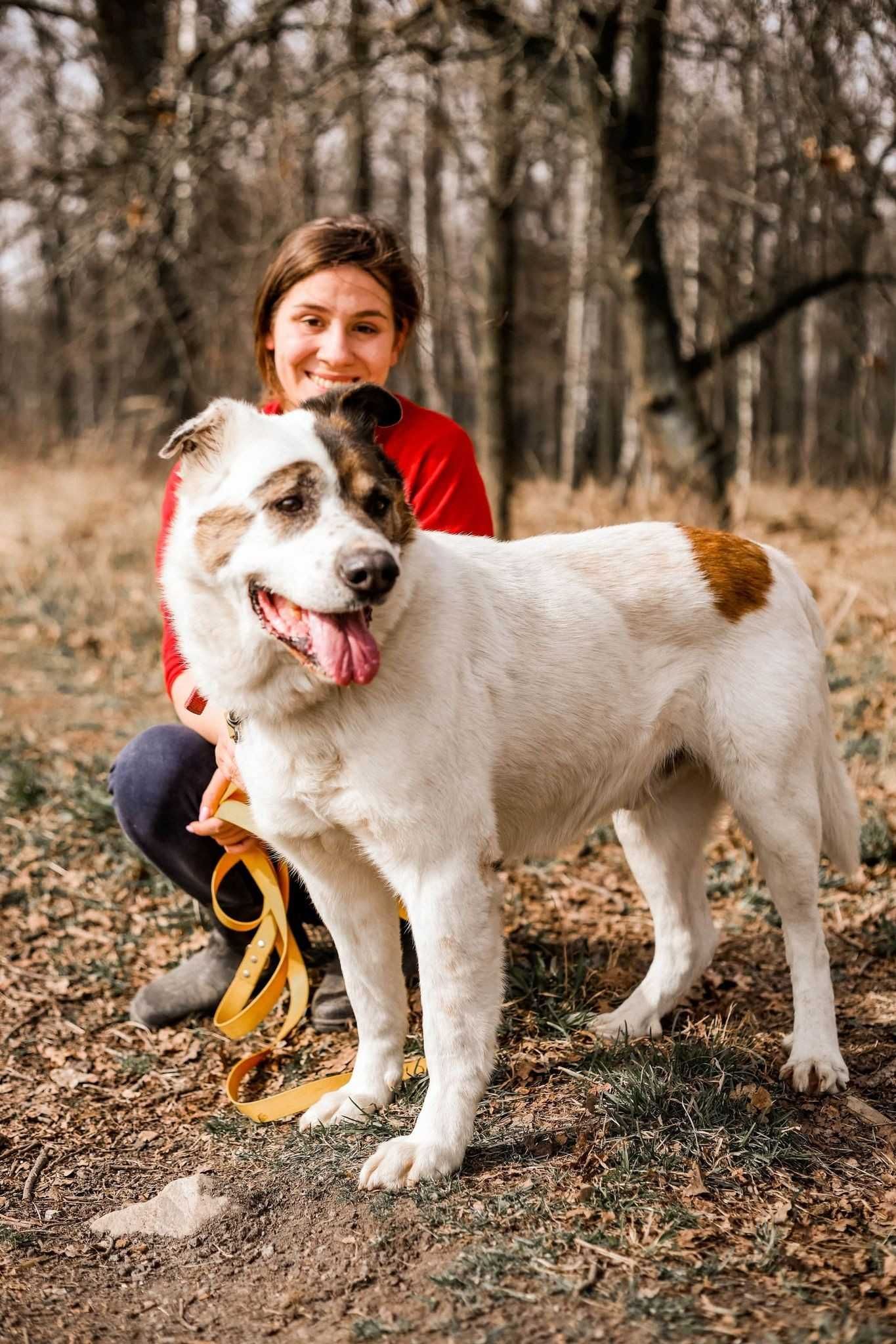 Polar - Cechuje go otwarte, niesamowicie sympatyczne usposobienie