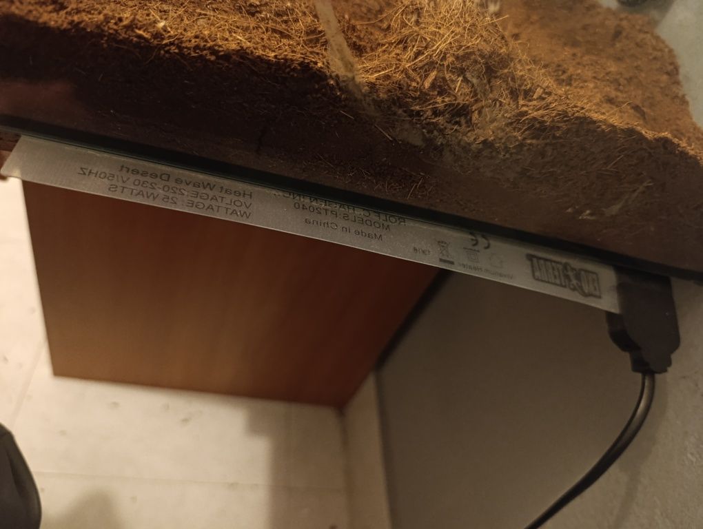 Terrário scalare com alguns equipamentos