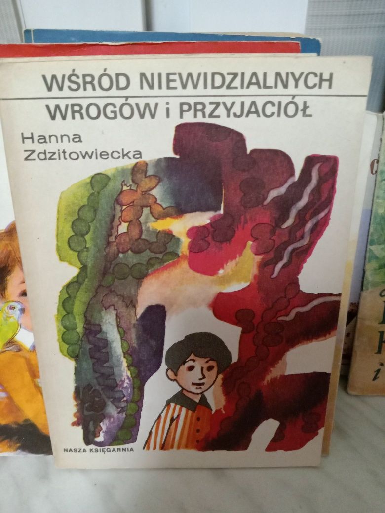 Wśród niewidzialnych wrogów i przyjaciół , Hanna Zdzitowiecka.