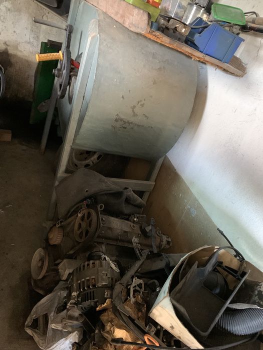 Palmeira dej  jardim