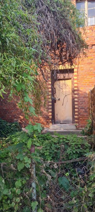 bezpośrednio tania kawalerka z ogródkiem blisko Poznania Owińska