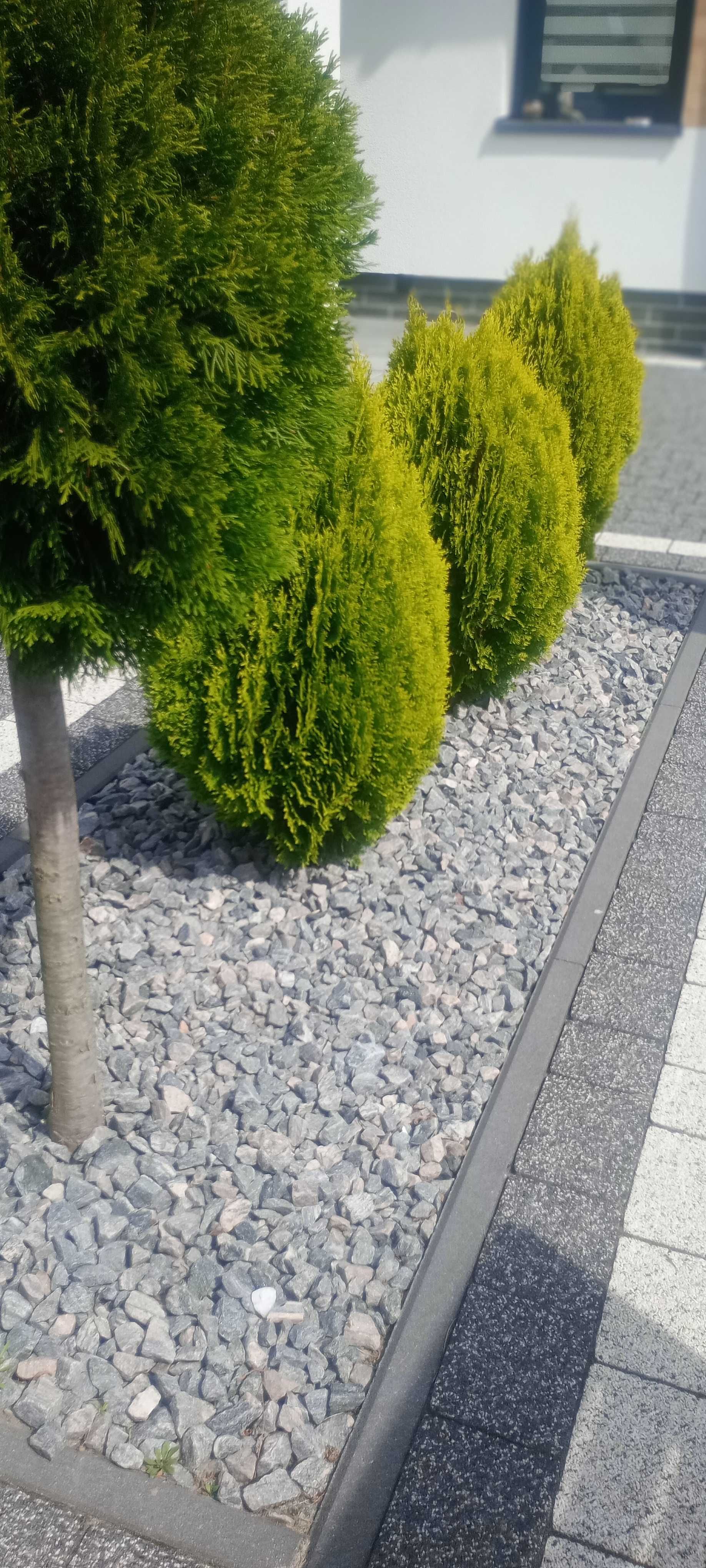 Czarnoziem, piasek, ziemia, miał granitowy, beton Rm, podbudowa, gruz