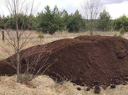 Перегній кінський