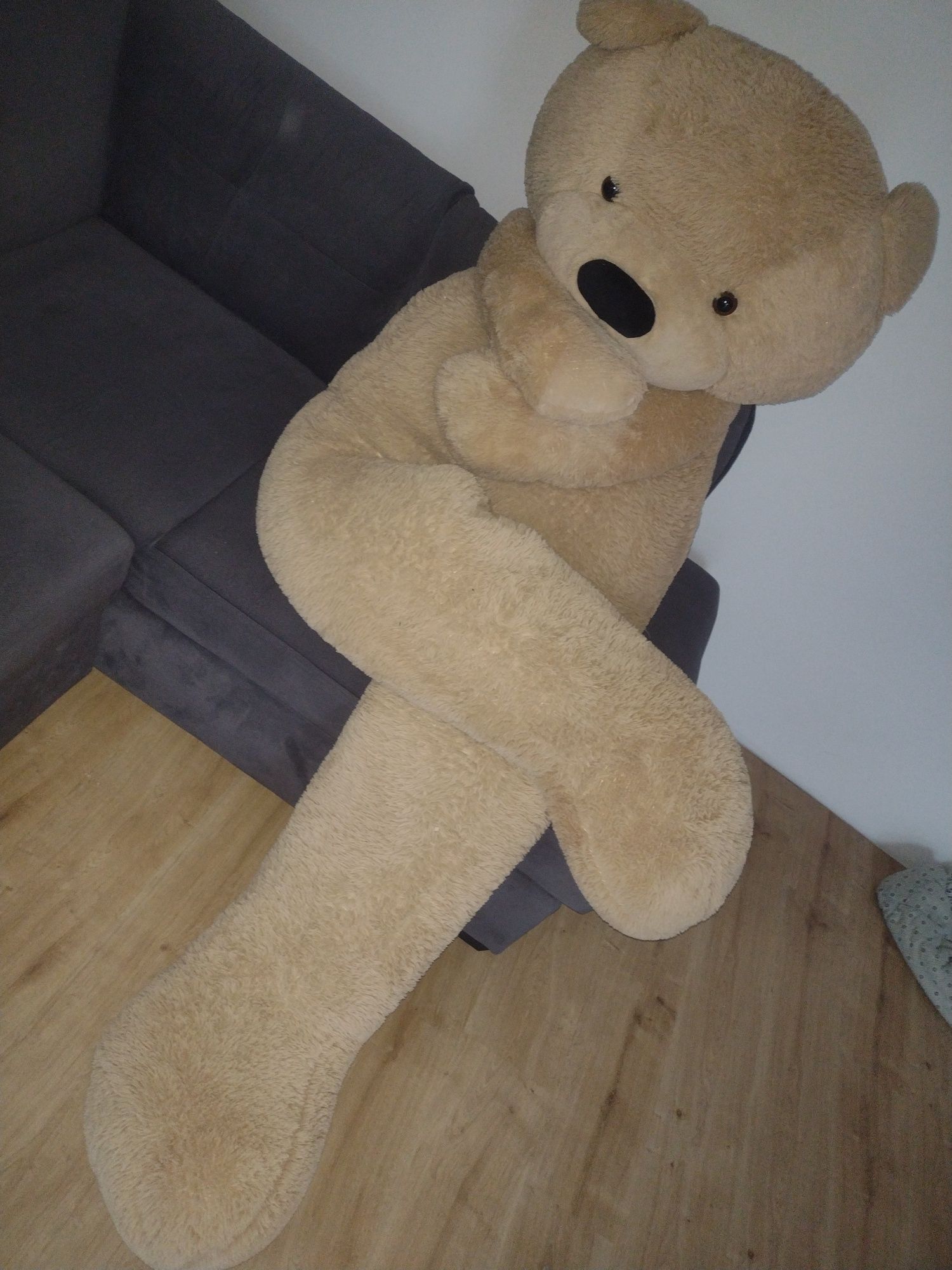 miś GIGANT 220cm
