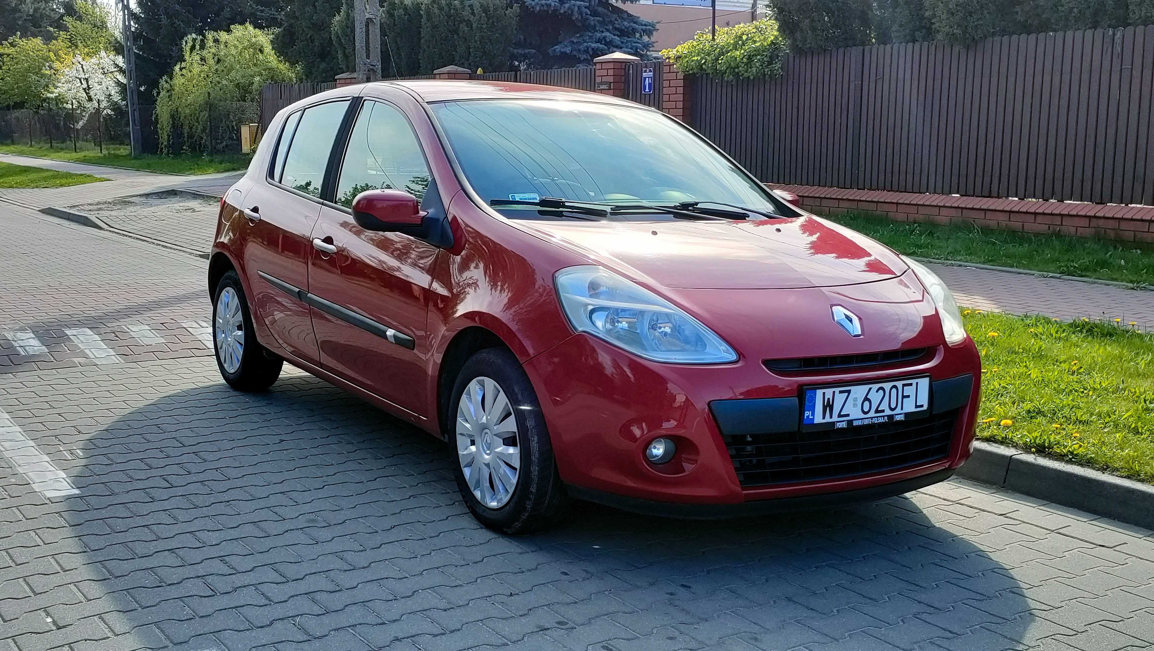 Renault Clio Zadbany