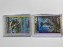 Pokemon TCG Primal Clash