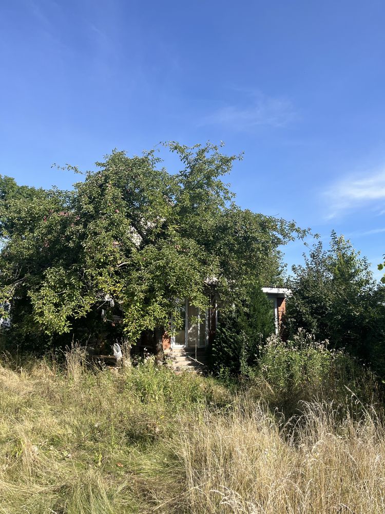 Будинок на природі (Тараща-10км), 79 сот. землі, Тараща(10км), сауна
