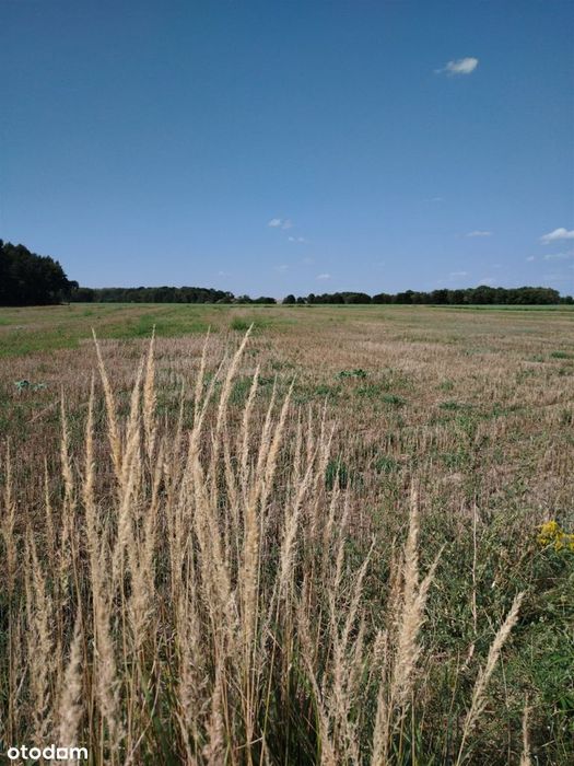 Działka na sprzedaż, Świerklaniec