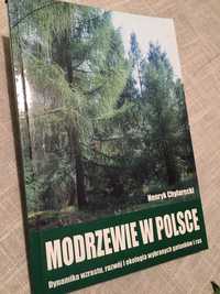 Modrzewie w Polsce leśnictwo dendrologia