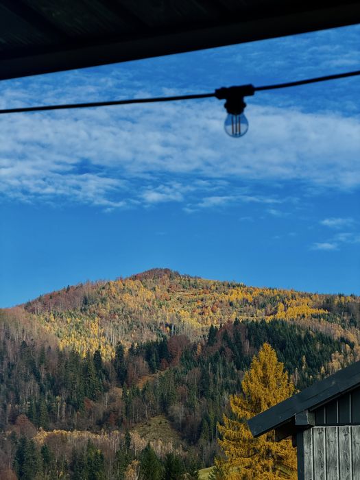 Оренда будинку у Славську Славське Славськ Тухля подобово котедж чан