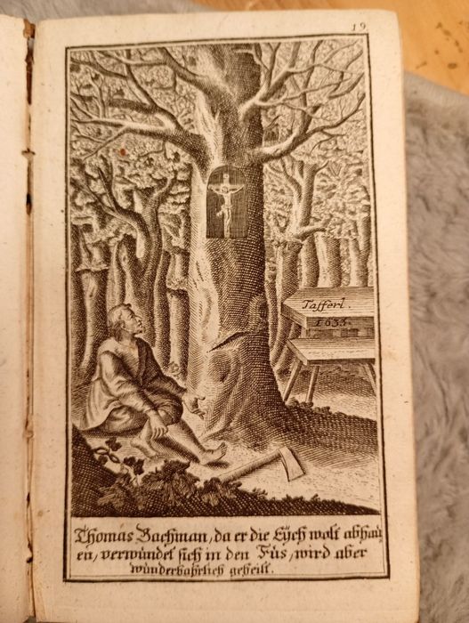 Starodruk 1748 Austriacka Góra Miry - Sanktuarium Maria

Laferl - Mary