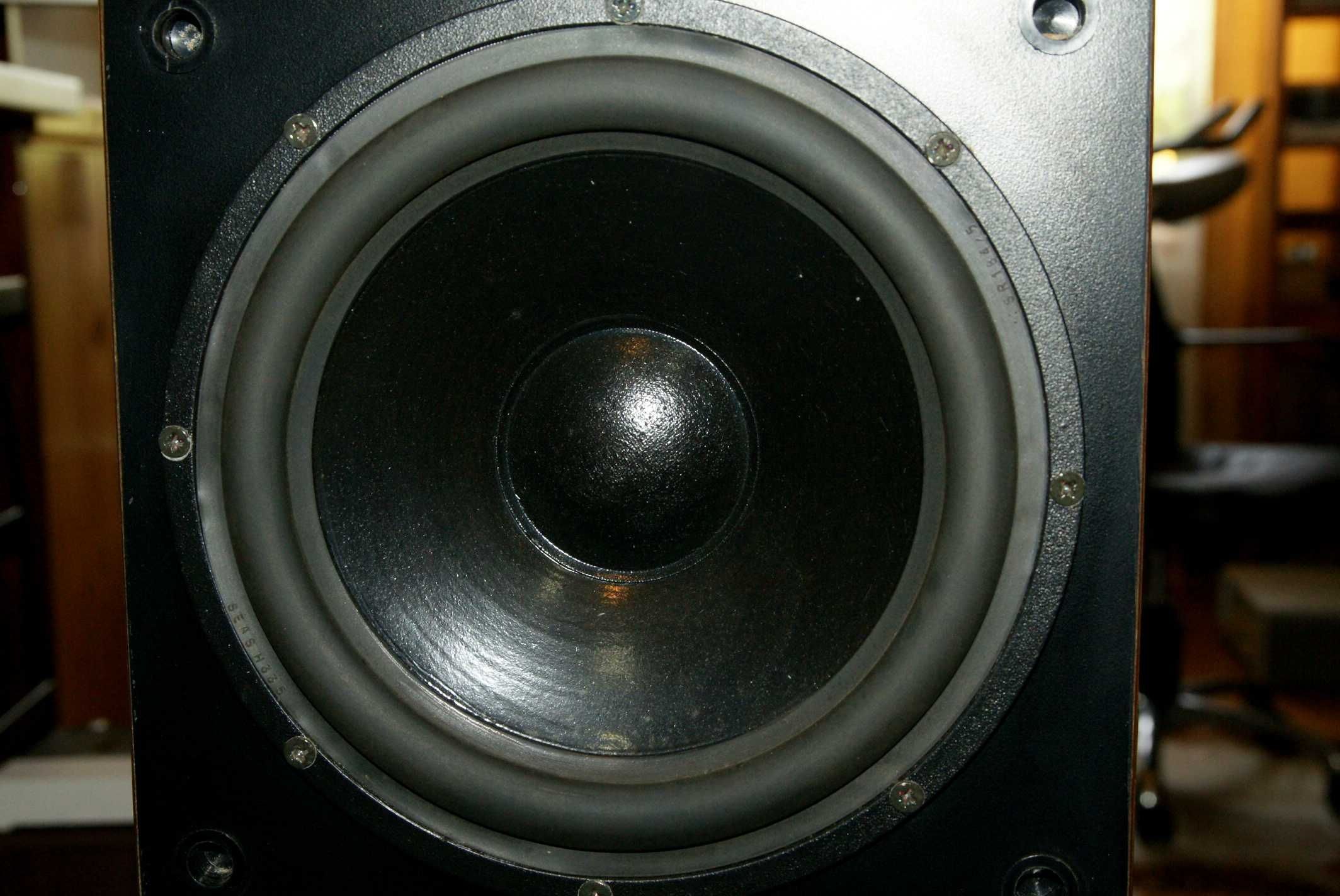 Piękne kolumny Synthese 2, linia transmisyjna, 25 Hz w dole, 87 dB