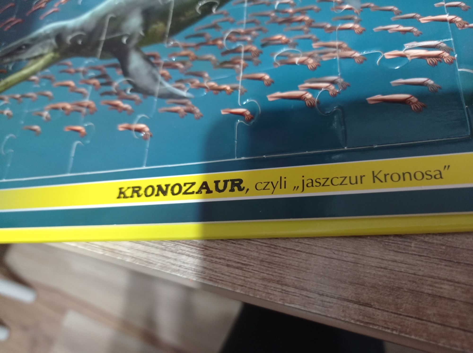 Książka z puzzlami