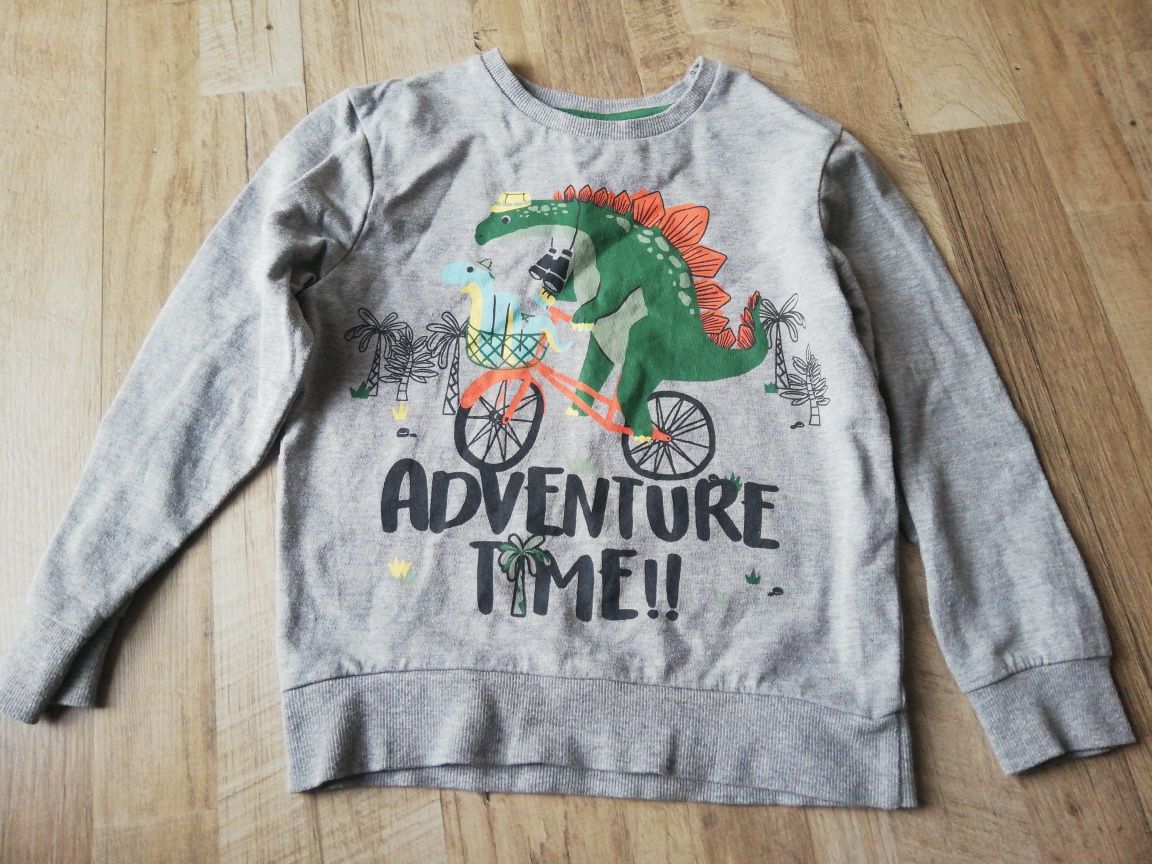 Bluza dinozaur Little Kids