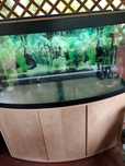 Akwarium półokrągłe FLUVAL 280 L