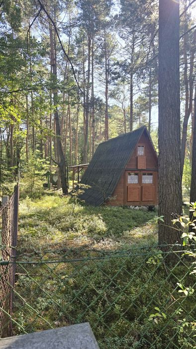 Domek letniskowy w lesie