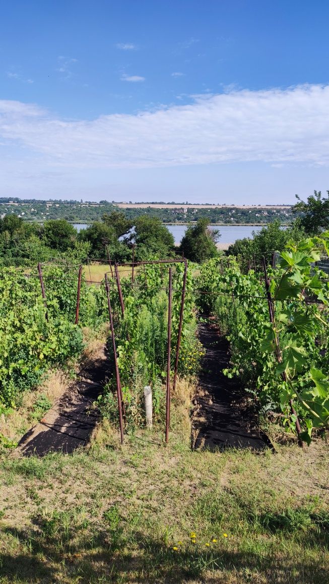 Продам дом село Приморское Васильевский район.