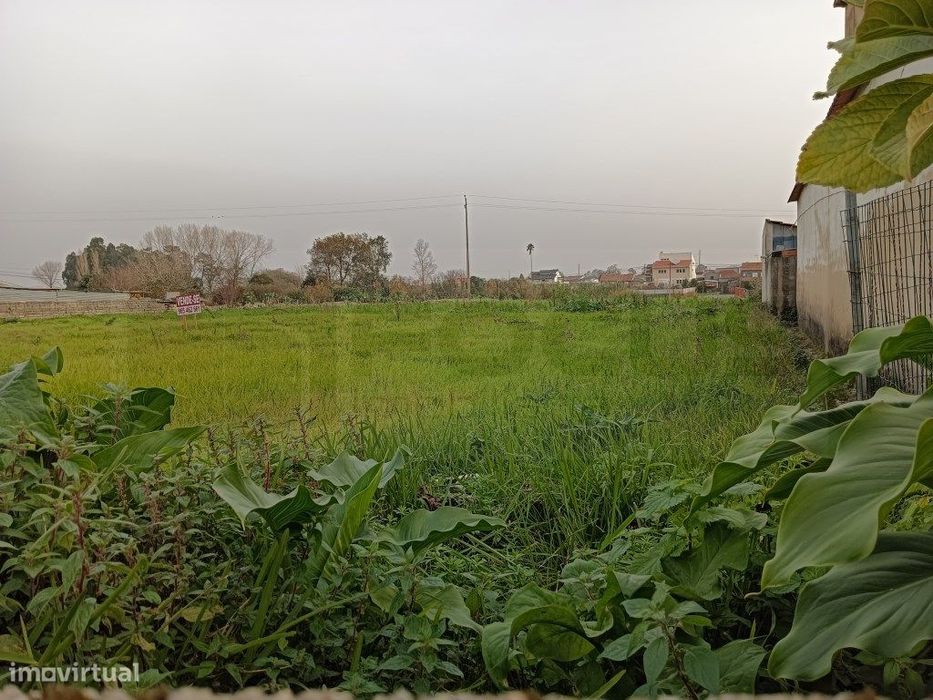 Terreno para venda em São Bernardo - Aveiro