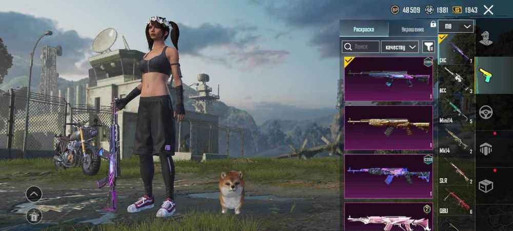 PUBG mobile Account