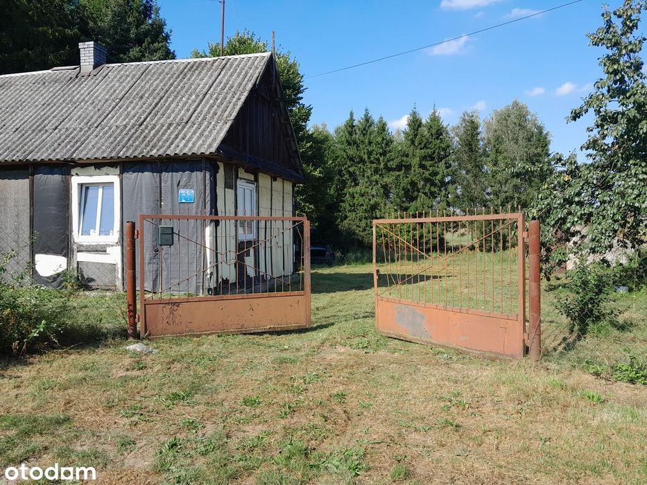 Groszki gmina Kałuszyn obok autostrady A2 - siedlisko