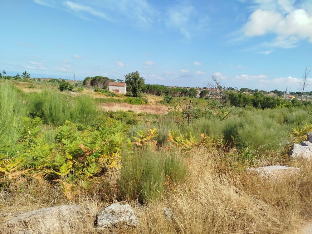 Terreno Rustico para VENDA