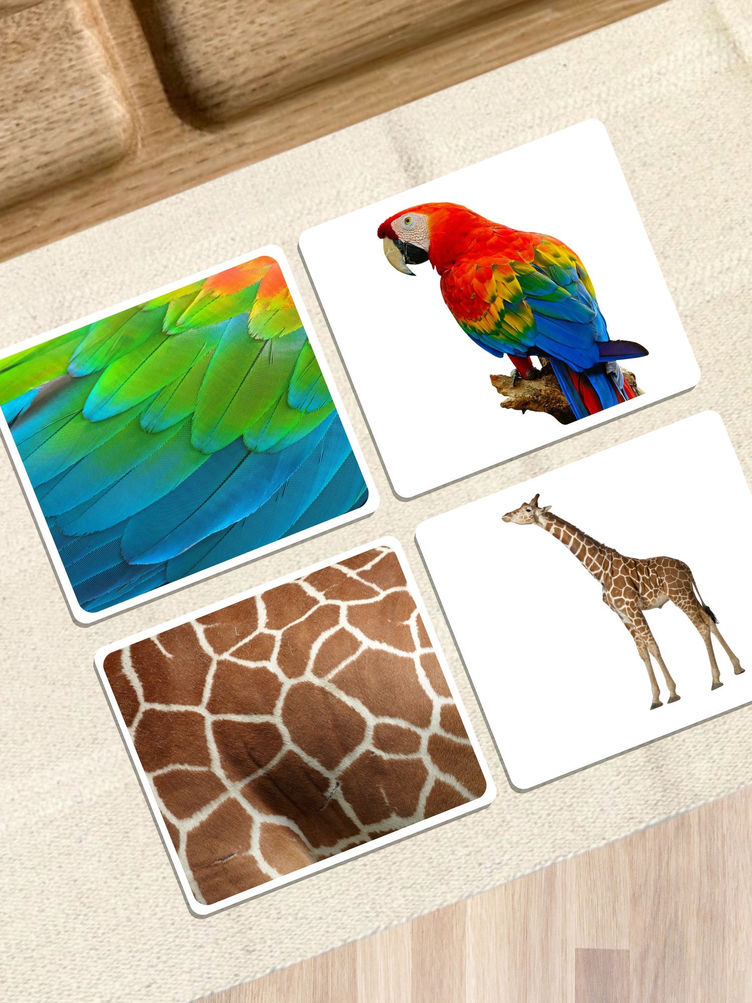 [25] Cartões | Padrões | Animais | Montessori
