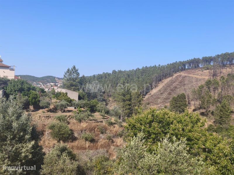 Terreno Rústico / Fundão, Silvares