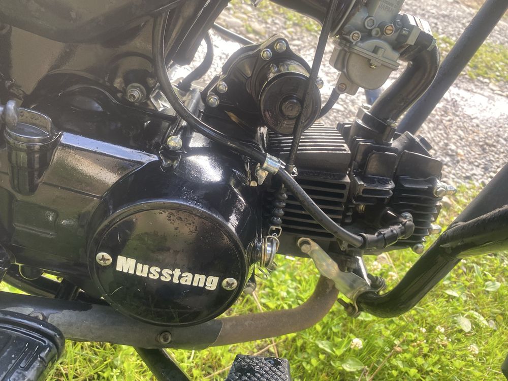 Продам мустанг мт 125 фіт 2