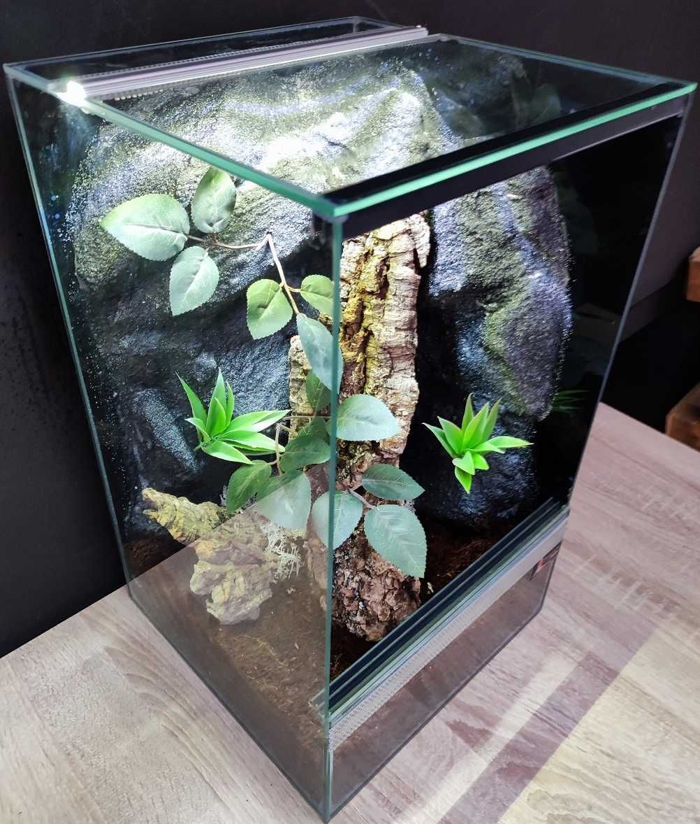 Terrarium szklane nr41 30/30/50 dla gekona orzęsionego, żab DOSTĘPNE