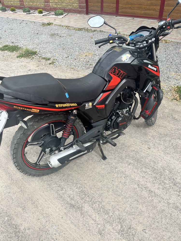 Продам Musstang Region mt250-9r