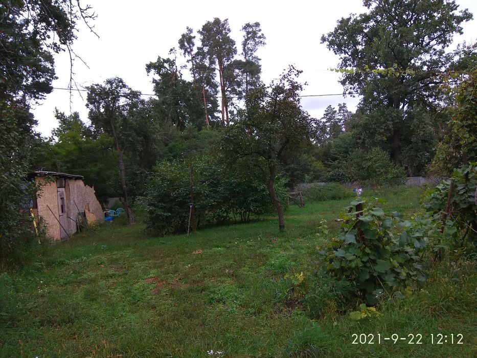 Продам ділянку в Бучі Лісовій від хазяїна!!